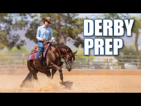 Bailey Brewer's Horse Training Empire