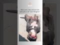 #cães #comedia #engraçado #humor #memes #pets #dogs #explorar #shorts #viral #fyp