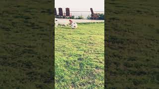 UNBELIEVABLE SKILL!!!!!Watch the technique! Can you dribble better? #soccer #messi #CR7 #football