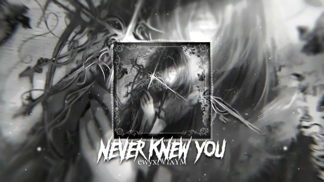ewyx, VIXYM - NEVER KNEW YOU (Official Visualizer)