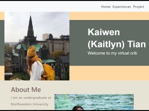 Personal Profolio Page (html+css+d3.js)