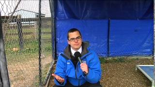 How to protect your pets in cold weather