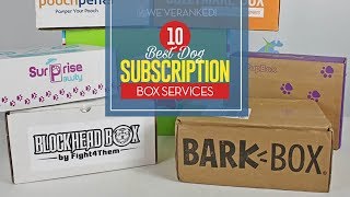 Top 10 Best Dog Subscription Boxes