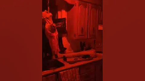 My daughter Rebecca Sharr Haunted House at home fo...
