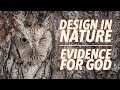 Design in Nature as Evidence for God