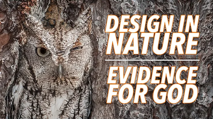 Design in Nature as Evidence for God