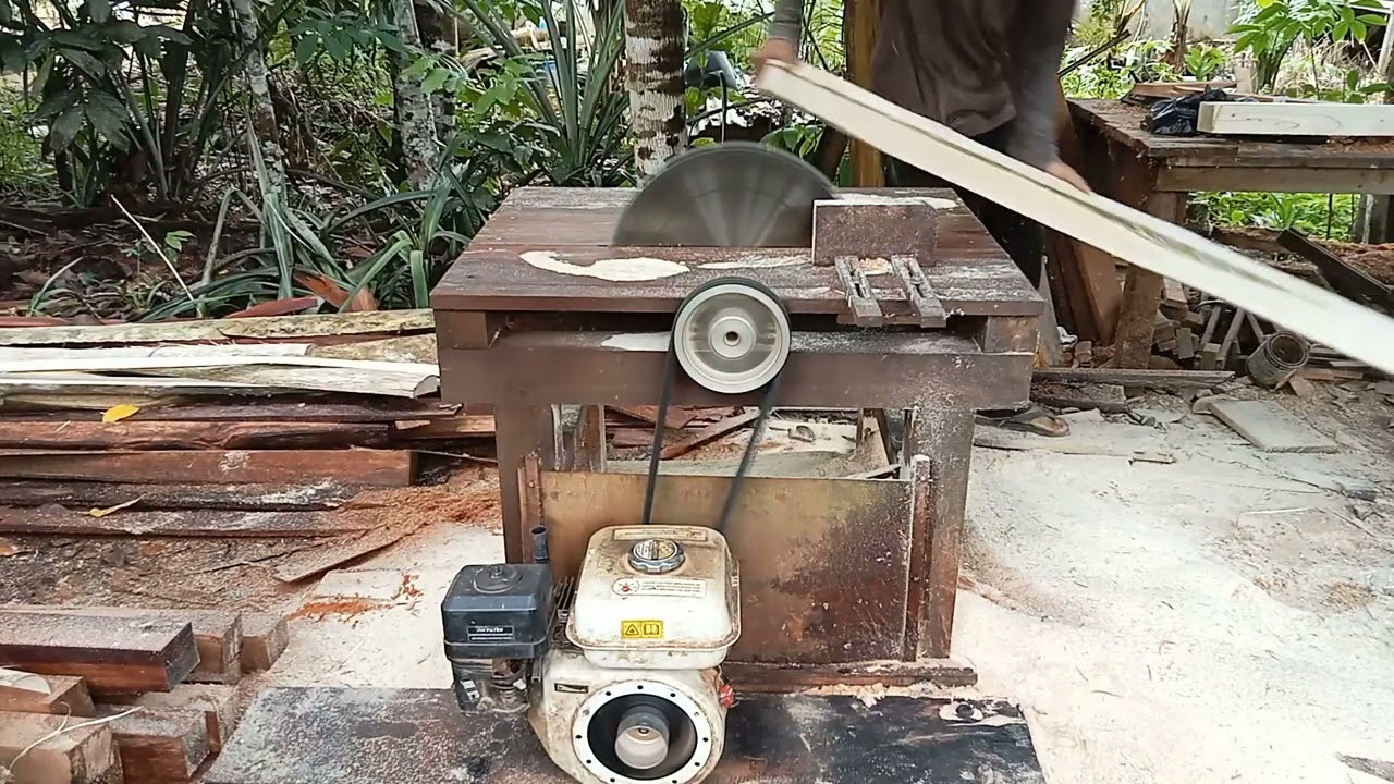 Langsung sikat bulat-bulat pembelahan kayu SUNGKAI muda@Sandi_channel01