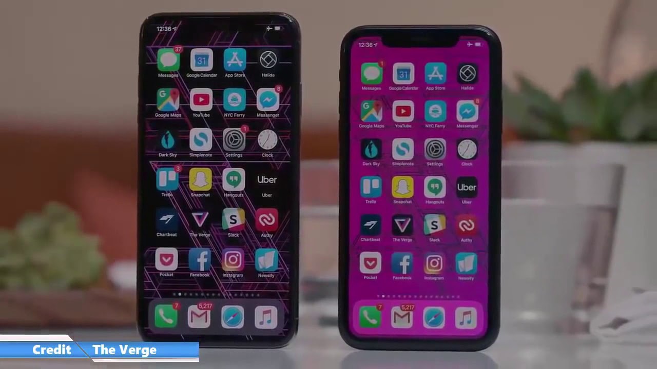 iPhone XI (11)  2019 Official Release Date