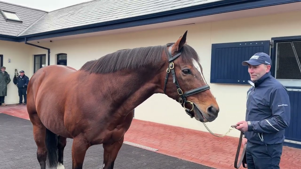 GLENEAGLES à Castlehyde Stud avec Cathal Murphy : Irish Stallion Trail 2026
