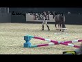 Vorstellung REITTV-Community |  Ebony - The one and only