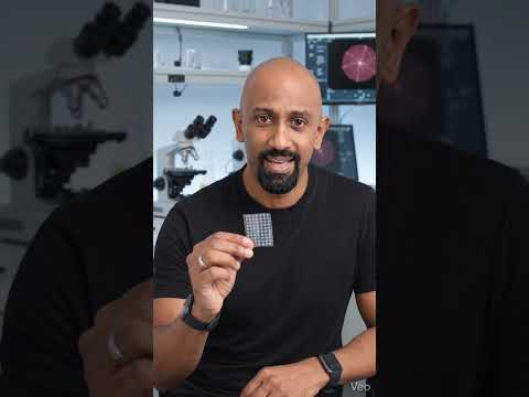 Graphene Electrodes Record Brain Signals 10x Better | Dr Angelo