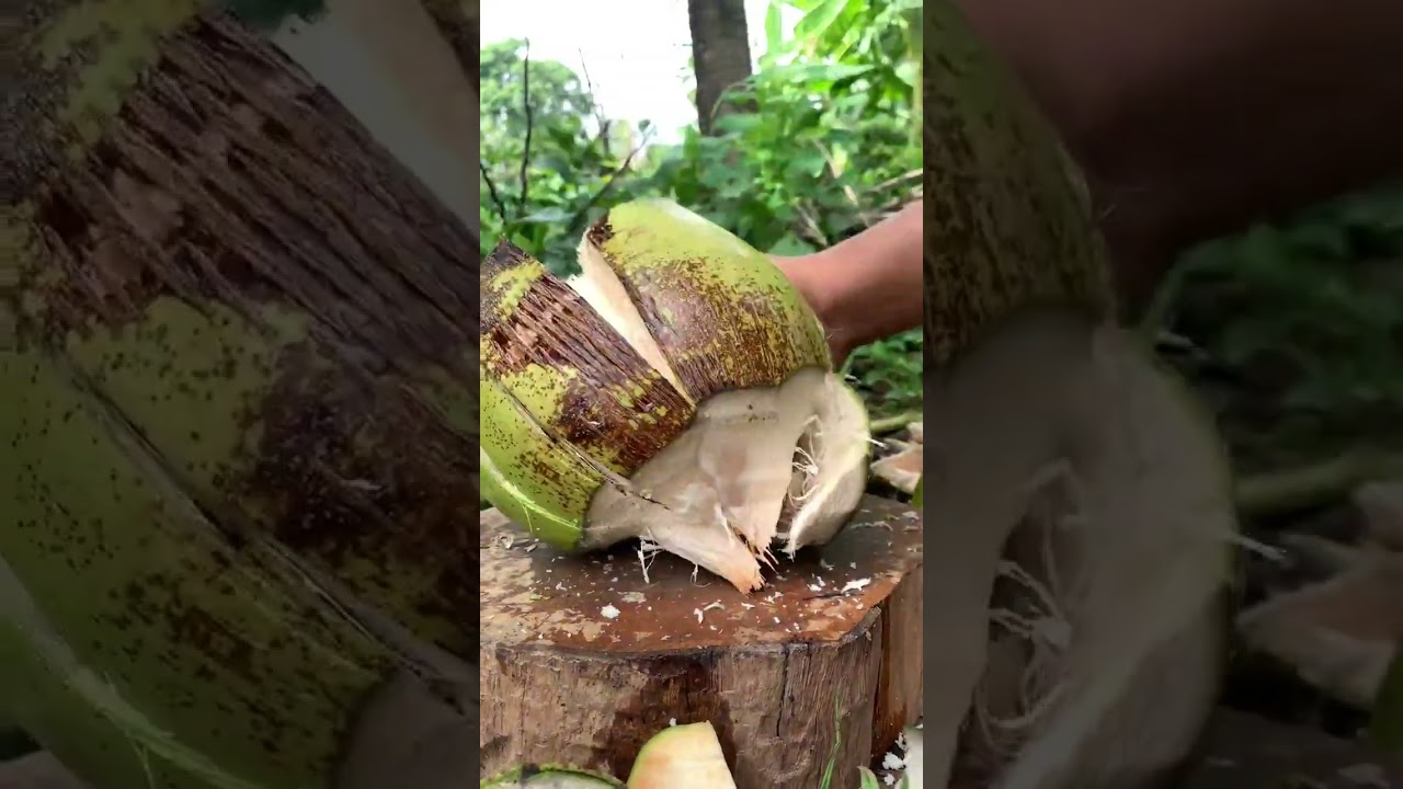 Rare Pink Coconut ! Ever seen This  Coconut Cutting Skills 