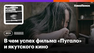 В чем успех фильма «Пугало» и якутского кино