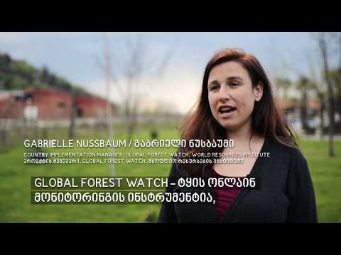 საქართველოს ტყისა და Global Forest Watch-ის ატლასების შესახებ