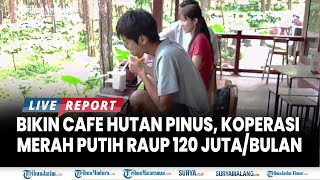 🔴BISNIS UNIK KOPERASI MERAH PUTIH DI JEMBER, Tarik Anak Muda Ngopi di Hutan Pinus Gapuro Kafe