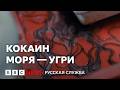 Контрабанда угря: крупнейшее преступление против дикой природы | Документальный фильм Би-би-си