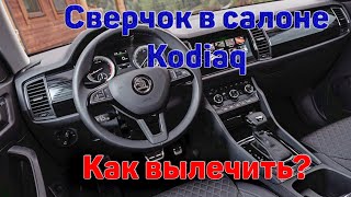 Сверчок в Шкода Кодиак