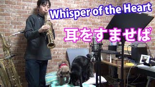whisper of the heart - take me home, country roads - saxophone quartet cover