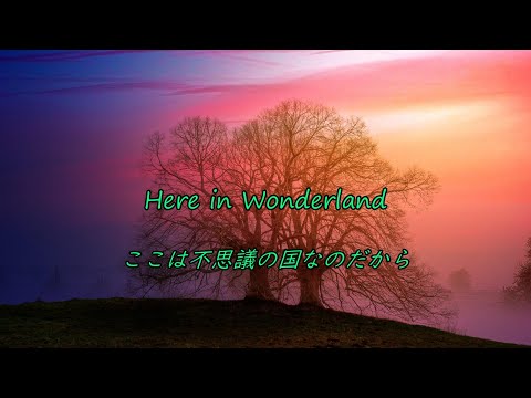Axel Johansson - Wonderland【和訳】