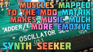 Use MIDI Velocity for More Expressive Patches