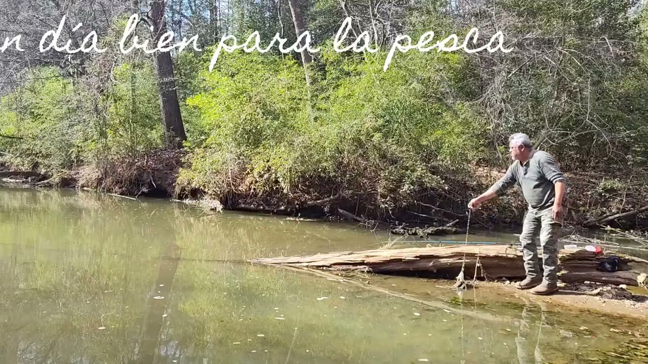 Un día bien para la 🎣