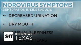 Experts warn about spread of highly contagious norovirus ahead of holidays