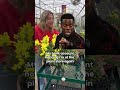 Listen when I’m at the plant store, my bank account doesn’t matter😌#garden #meme #funny #plants