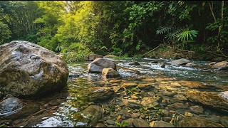GENTLE WATER FLOW IN TROPICAL FOREST – SOOTHING RIVER ASMR FOR SLEEP & MIND RELAXATION