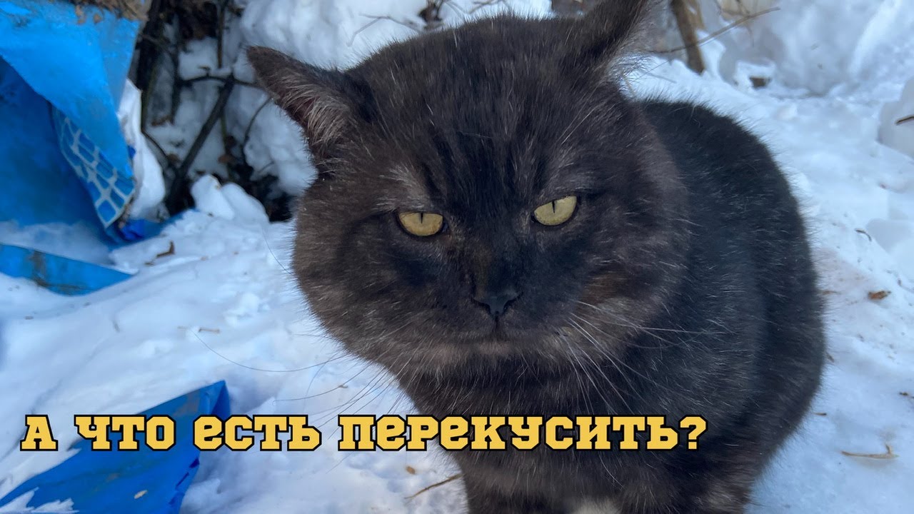 Мыр домой с ночевой. - YouTube