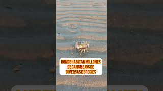 Un lugar único en Argentina (ver hasta el final)