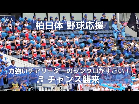 柏日体（現 日体大柏）野球応援「チャンス襲来」力強い多数のチアリーダーのシンクロがすごい！（千葉県高校野球応援2015）