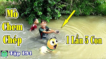 bắt cá mò chem chép dễ không tưởng | catch seafood | NGÃ NĂM TV Tập 194