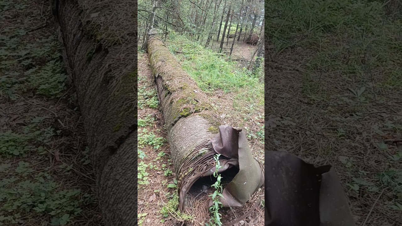 Нашел сотни тонн металла в лесу!!! Как забрать??? Металлокоп с металлоискателем. 