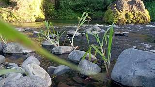 Night River Harmony – Smooth Water Sounds for Meditation