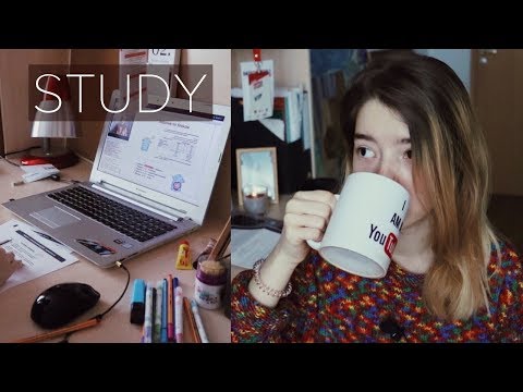 Видео: Study Study Study, или За Кружкой С Мыслями #3