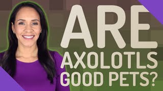 Are Axolotls good pets?