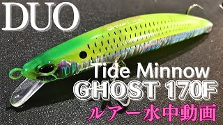 【タイドミノーゴースト】水中映像　「DUO Tide Minnow GHOST 170F」　ルアー水中動画