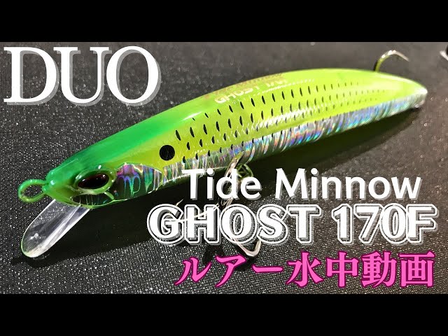 タイドミノーゴースト】水中映像 「DUO Tide Minnow GHOST 170F