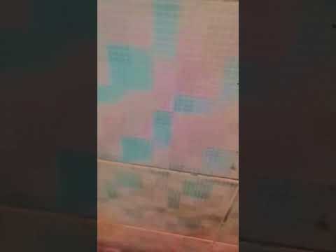 https://youtube.com/shorts/KmbIXPLSp-A?si=r_PsAPkTCQUzwjsa