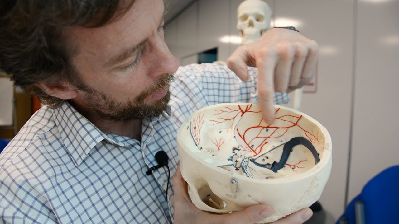 Groove For Middle Meningeal Vessels