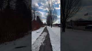 The cold winters and the snow filled Amherst Beautiful