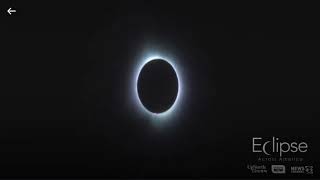 Reaction to total solar eclipse in Indianapolis, Indiana - April 8, 2024