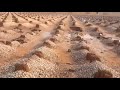 يارب لي اب في وسط الثرى مقبور ووالدة غالية في ارض مقبورة شارك دعاء للوالدين وتكرموابالمشاركة بالقناة