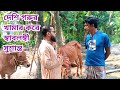 মাত্র ১০ বছরে স্বাবলম্বী! দেশি গরুর খামার করে লাখ টাকা আয় | Shinha Agro