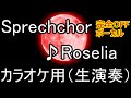 Sprechchor カラオケ用 ボーカルなし Roselia 生演奏 OFF VOCAL 全パート耳コピ 発売前 Sprechchor カラオケ用 ボーカルなし Roselia 生演奏 OFF VOCAL 全パート耳コピ 発売前