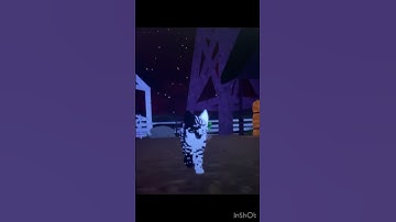 My First Warrior Cats Transition!  Don’t hate ♥️