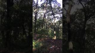 Desierto del Carmen Tenancingo de Degollado