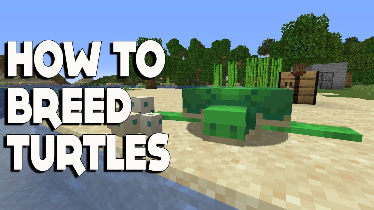 Minecraft #shorts :: How to BREED TURTLES in 1.16.3 - YouTube