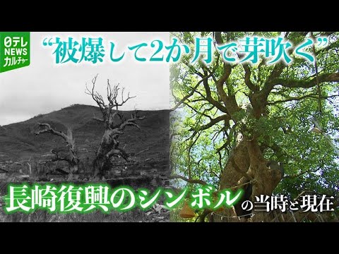 YouTube 動画のサムネイル