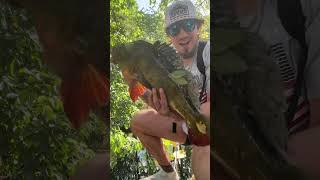 Only ogs remeber  #floridafishing #fishing #florida #miami #saltwaterfishing